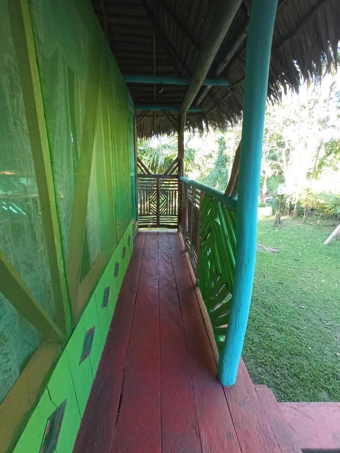 Hostal Buho Amazonas Tours Leticia Zewnętrze zdjęcie