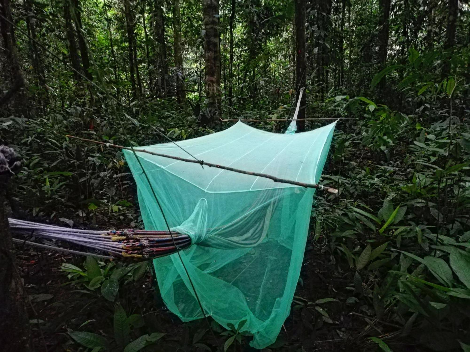 Hostal Buho Amazonas Tours Leticia Zewnętrze zdjęcie